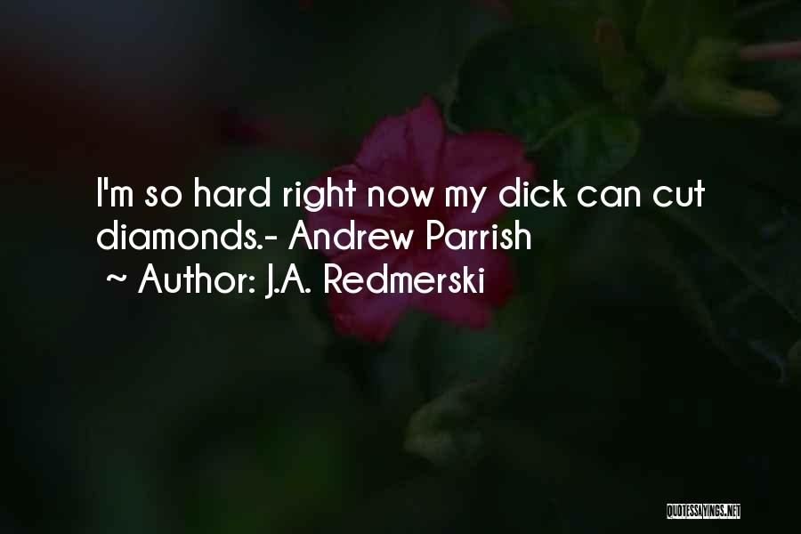 Parrish Quotes By J.A. Redmerski