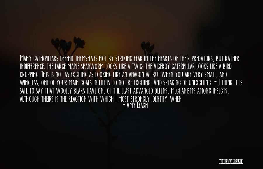 Parrocchia Mariano Quotes By Amy Leach Parrocchia Mariano Quotes By Amy Leach