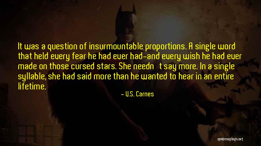 Parronchi Cashmere Quotes By V.S. Carnes Parronchi Cashmere Quotes By V.S. Carnes