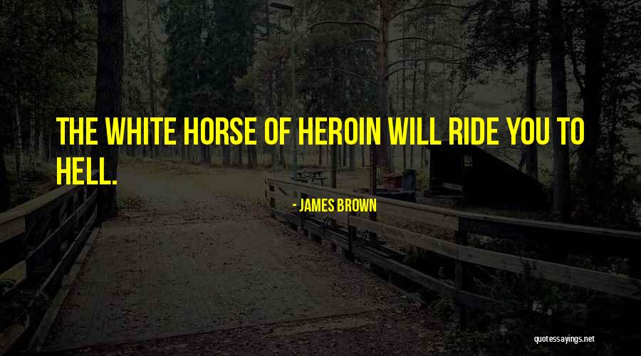 Parrothead Quotes By James Brown Parrothead Quotes By James Brown
