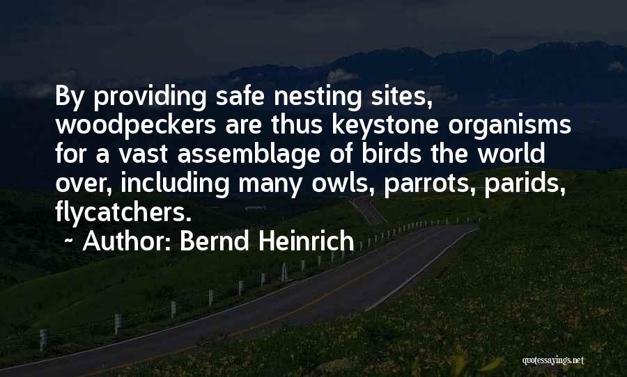 Parrots Quotes By Bernd Heinrich