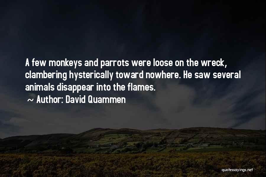 Parrots Quotes By David Quammen