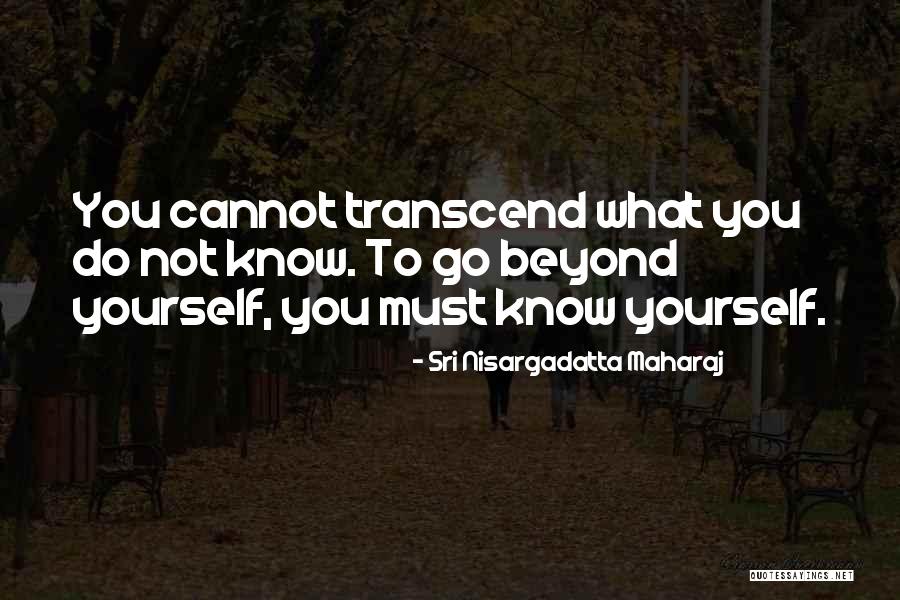 Parser Python Quotes By Sri Nisargadatta Maharaj