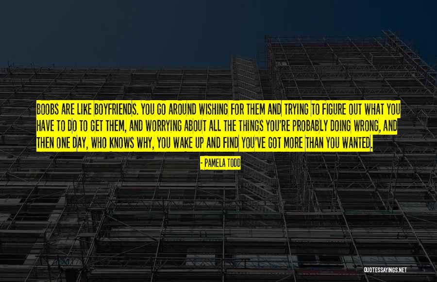 Parshuta Meat Quotes By Pamela Todd Parshuta Meat Quotes By Pamela Todd