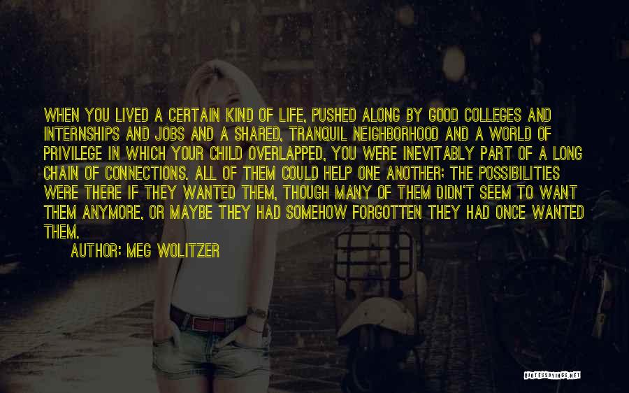 Part Of Your World Quotes By Meg Wolitzer