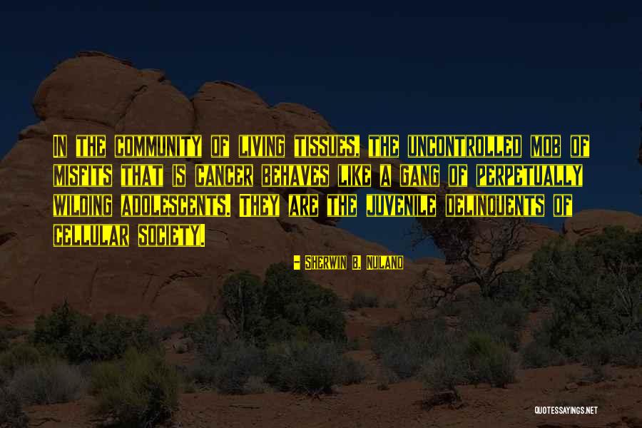 Partez Tour Quotes By Sherwin B. Nuland Partez Tour Quotes By Sherwin B. Nuland