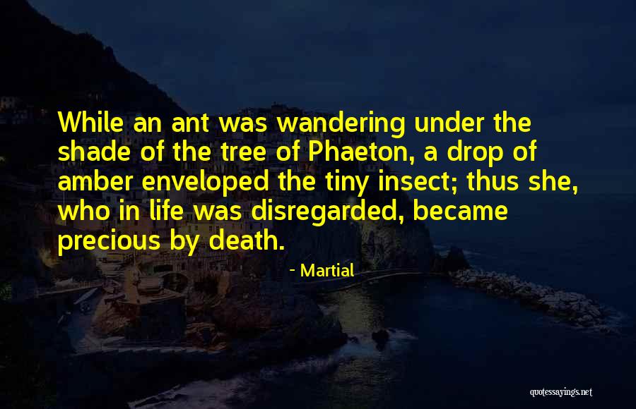 Parthasarathi Nannu Quotes By Martial Parthasarathi Nannu Quotes By Martial