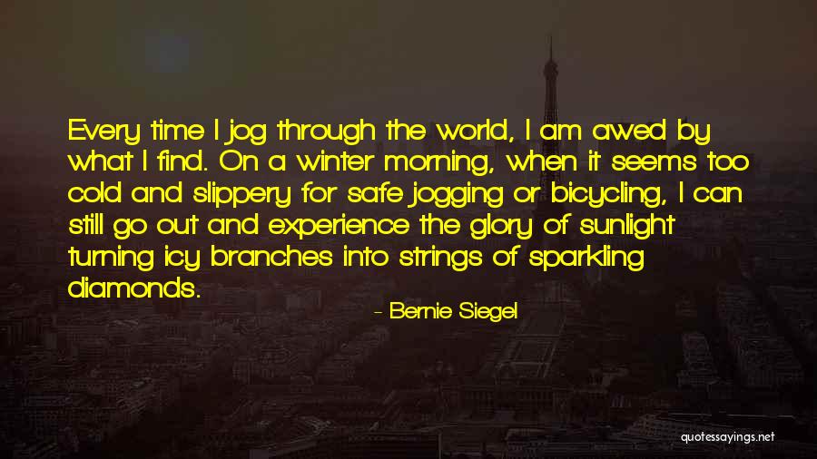 Parthasarathi Ramachandran Quotes By Bernie Siegel Parthasarathi Ramachandran Quotes By Bernie Siegel