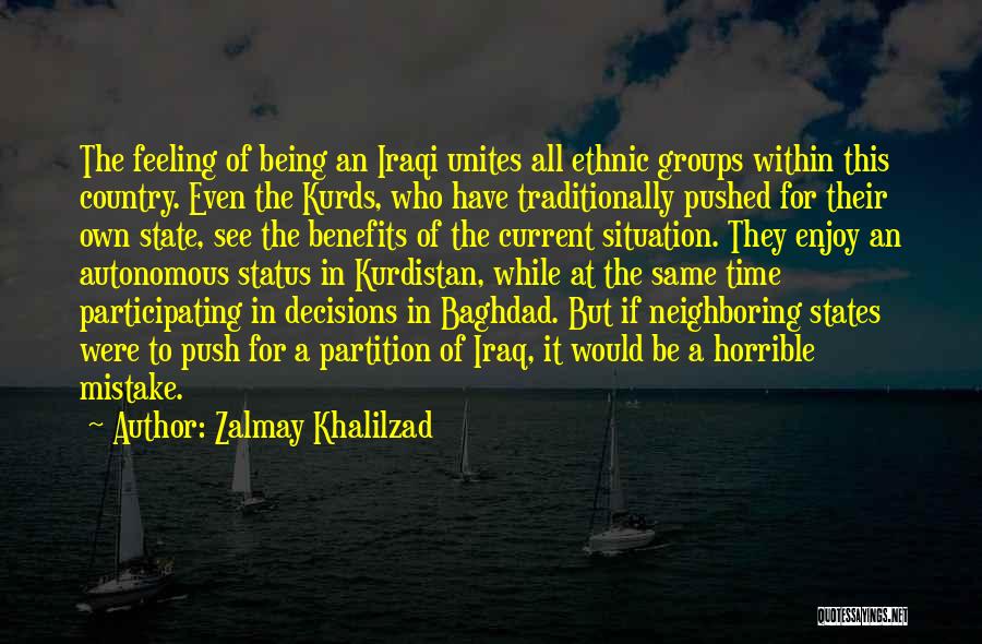 Participating In Groups Quotes By Zalmay Khalilzad