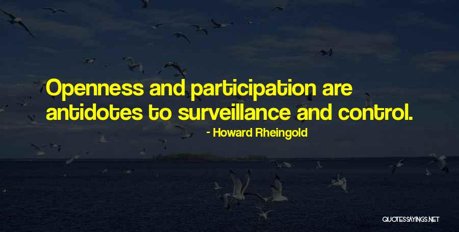 Participation Quotes By Howard Rheingold