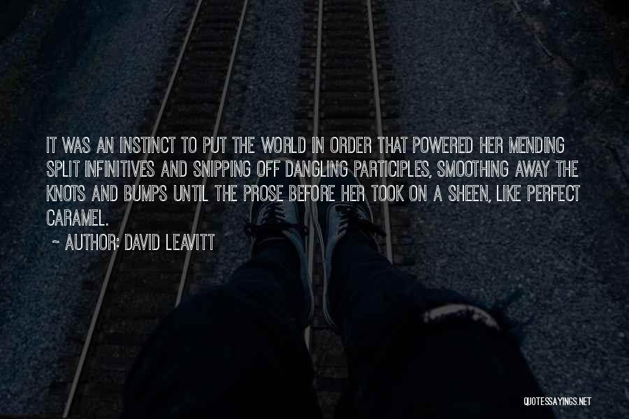 Participles Quotes By David Leavitt