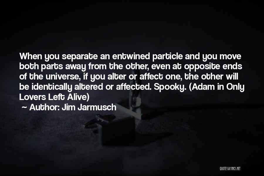 Particle Physics Quotes By Jim Jarmusch