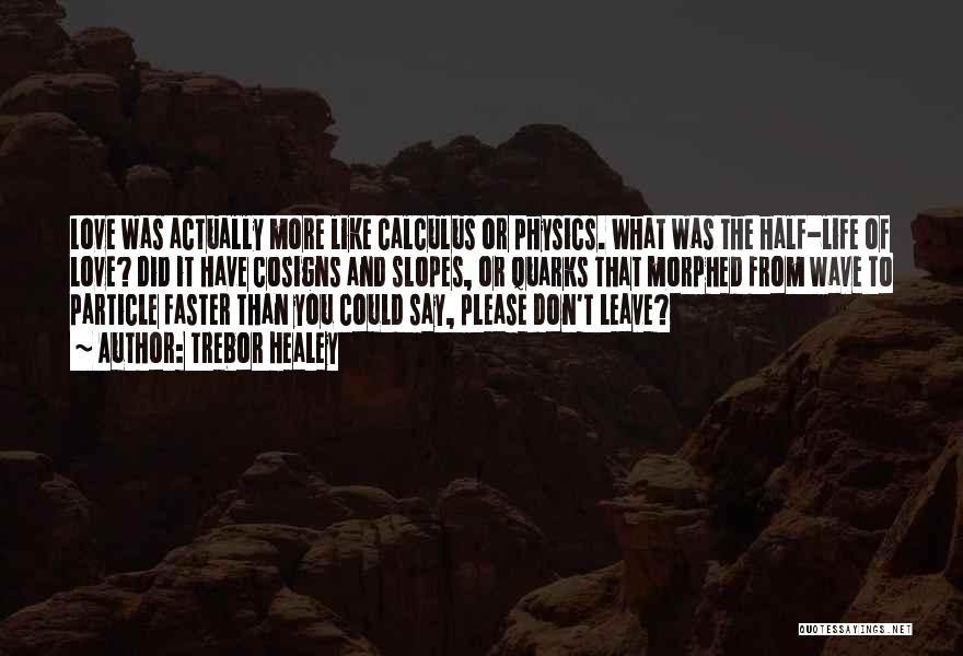 Particle Physics Quotes By Trebor Healey
