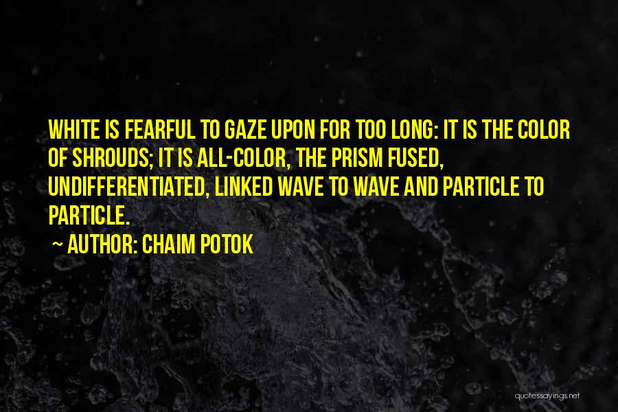 Particle Wave Quotes By Chaim Potok
