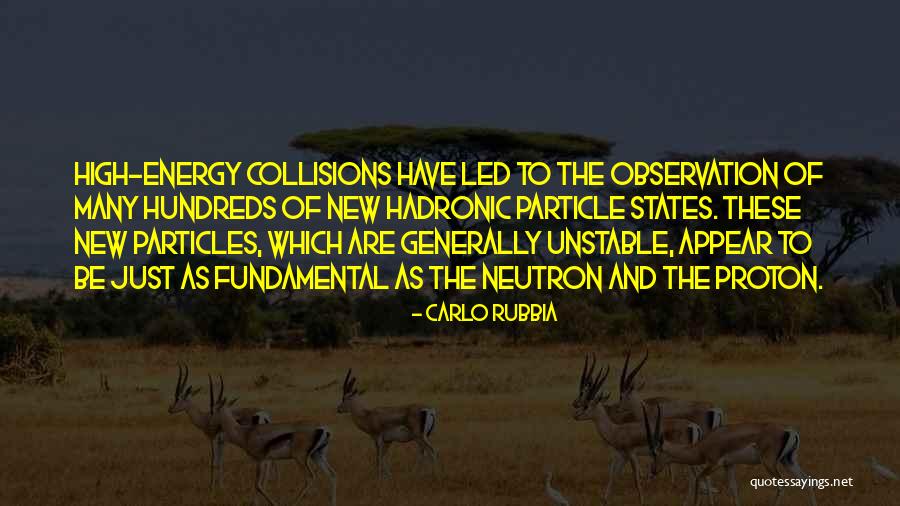 Particles Quotes By Carlo Rubbia Particles Quotes By Carlo Rubbia