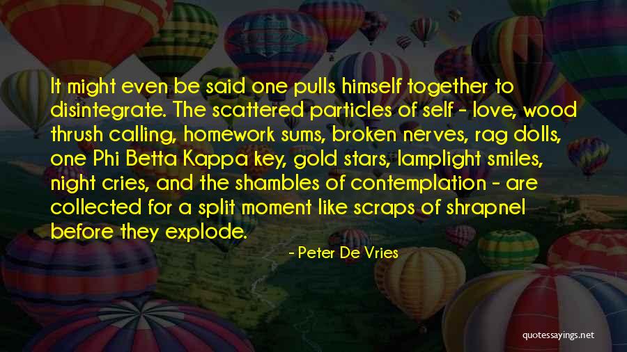 Particles Quotes By Peter De Vries Particles Quotes By Peter De Vries