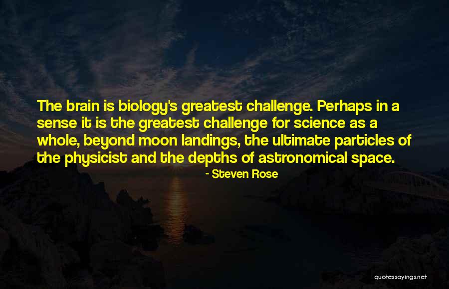 Particles Quotes By Steven Rose Particles Quotes By Steven Rose