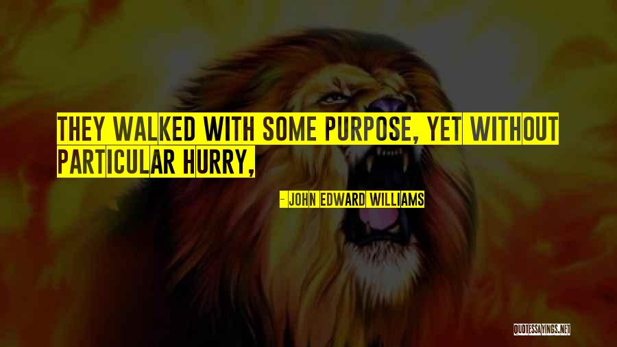 Particular Purpose Quotes By John Edward Williams Particular Purpose Quotes By John Edward Williams