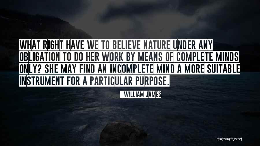 Particular Purpose Quotes By William James Particular Purpose Quotes By William James