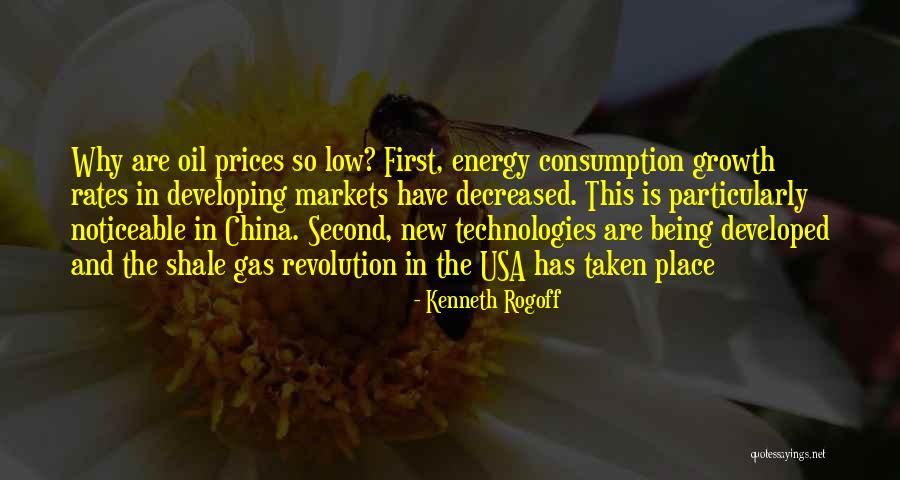 Particularly Noticeable Quotes By Kenneth Rogoff Particularly Noticeable Quotes By Kenneth Rogoff