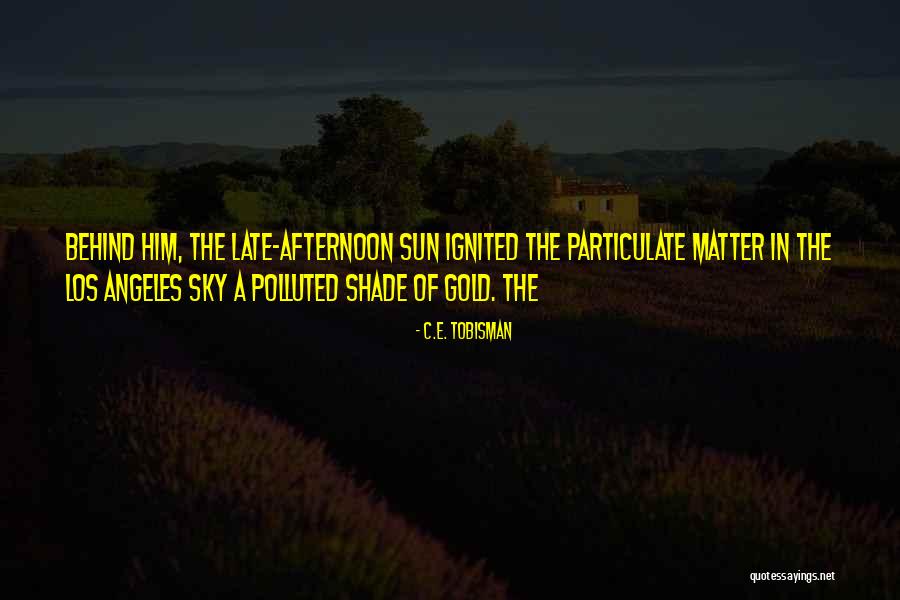 Particulate Quotes By C.E. Tobisman Particulate Quotes By C.E. Tobisman