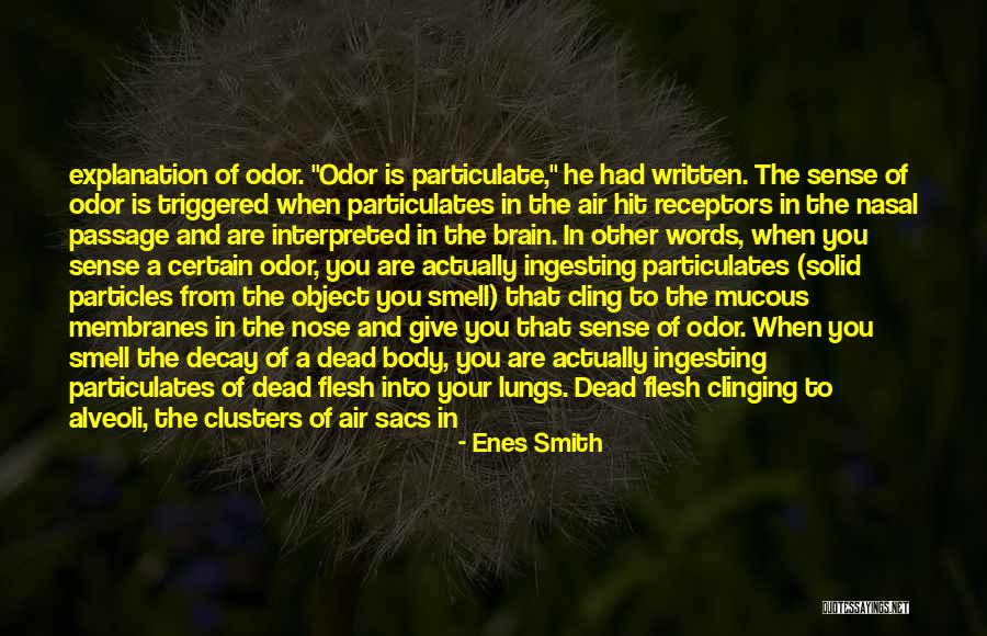 Particulates In The Air Quotes By Enes Smith Particulates In The Air Quotes By Enes Smith