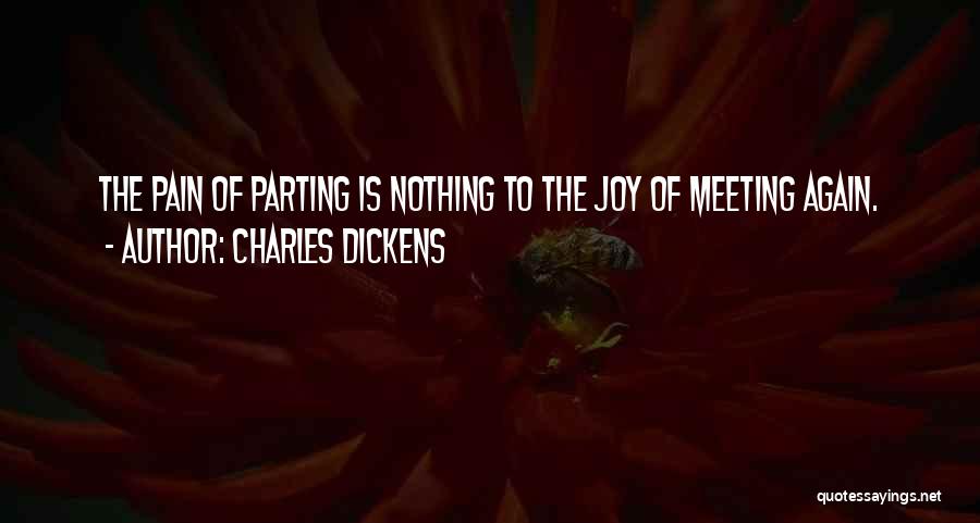 Parting And Meeting Again Quotes By Charles Dickens