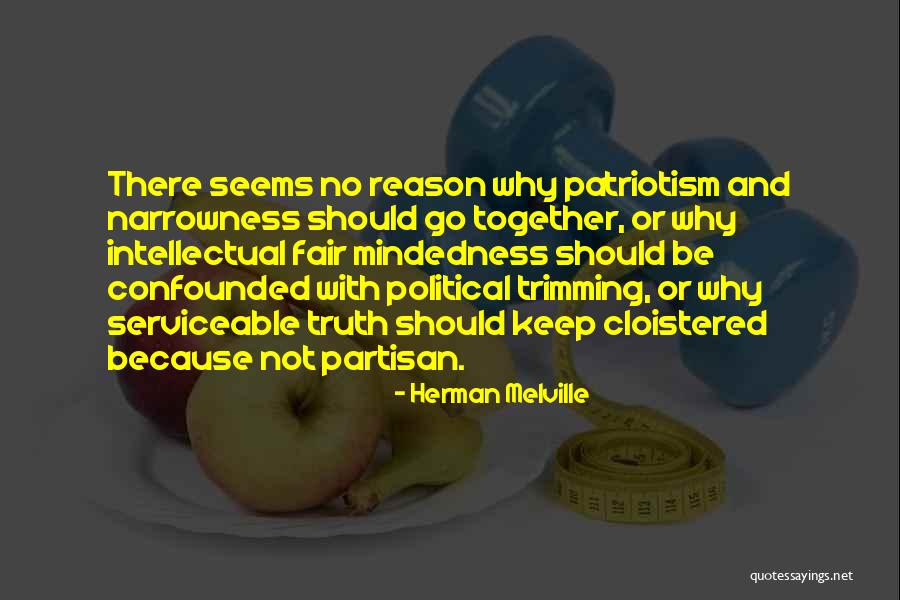 Partisan Political Quotes By Herman Melville Partisan Political Quotes By Herman Melville