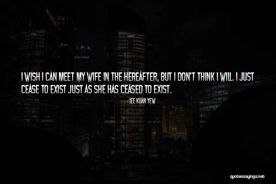 Partnerstvo Martinka Quotes By Lee Kuan Yew Partnerstvo Martinka Quotes By Lee Kuan Yew