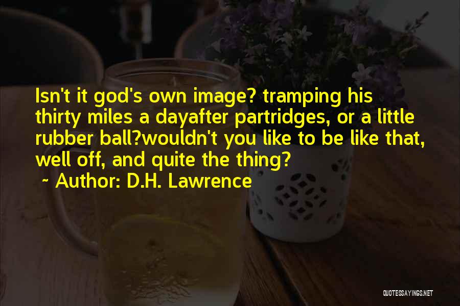 Partridges Quotes By D.H. Lawrence