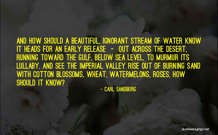 Partum Medical Term Quotes By Carl Sandburg Partum Medical Term Quotes By Carl Sandburg