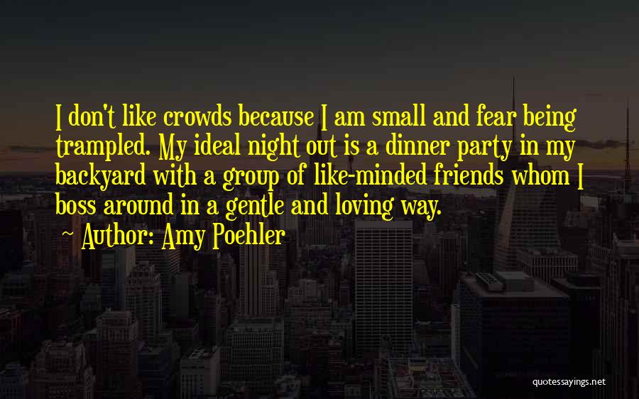 Party All Night With Friends Quotes By Amy Poehler