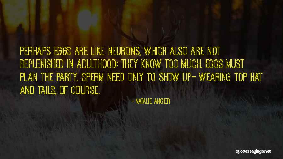 Party Hat Quotes By Natalie Angier Party Hat Quotes By Natalie Angier