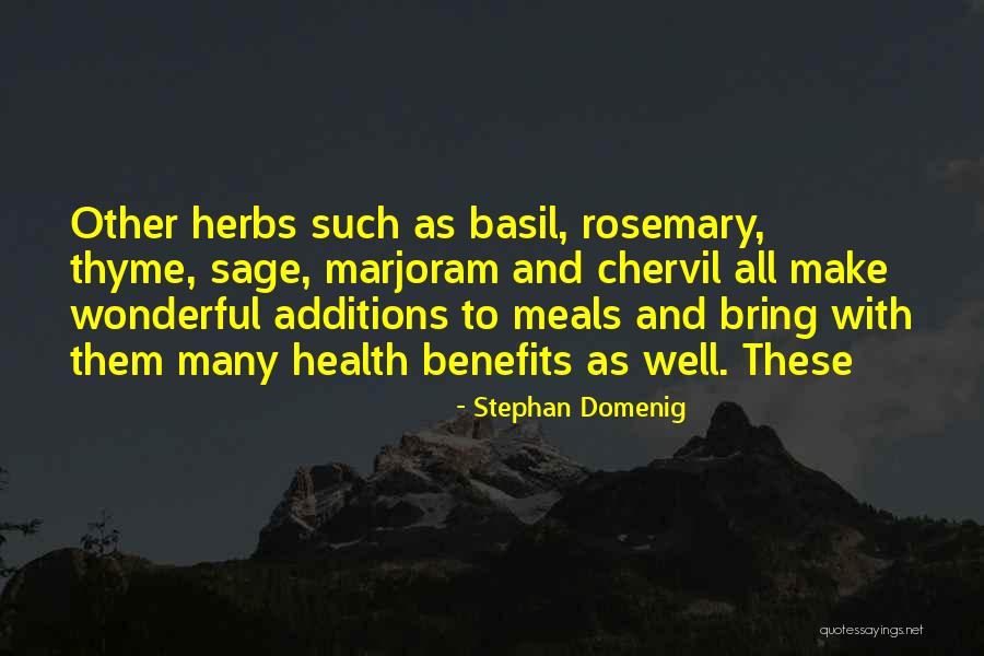 Party Primaries Quotes By Stephan Domenig Party Primaries Quotes By Stephan Domenig