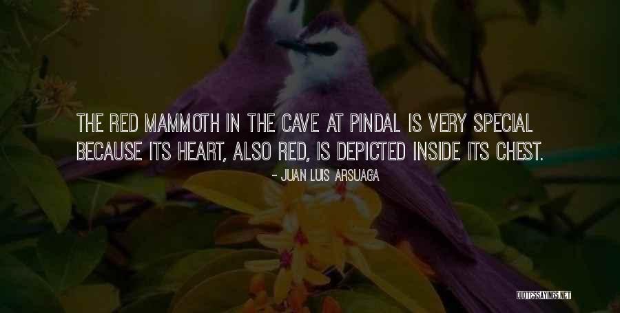 Parveen Sharma Quotes By Juan Luis Arsuaga Parveen Sharma Quotes By Juan Luis Arsuaga