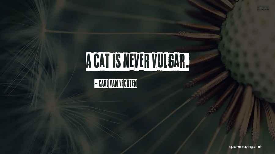 Parvesh Raina Quotes By Carl Van Vechten Parvesh Raina Quotes By Carl Van Vechten