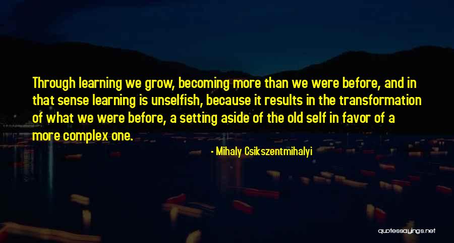 Parvo Quotes By Mihaly Csikszentmihalyi Parvo Quotes By Mihaly Csikszentmihalyi