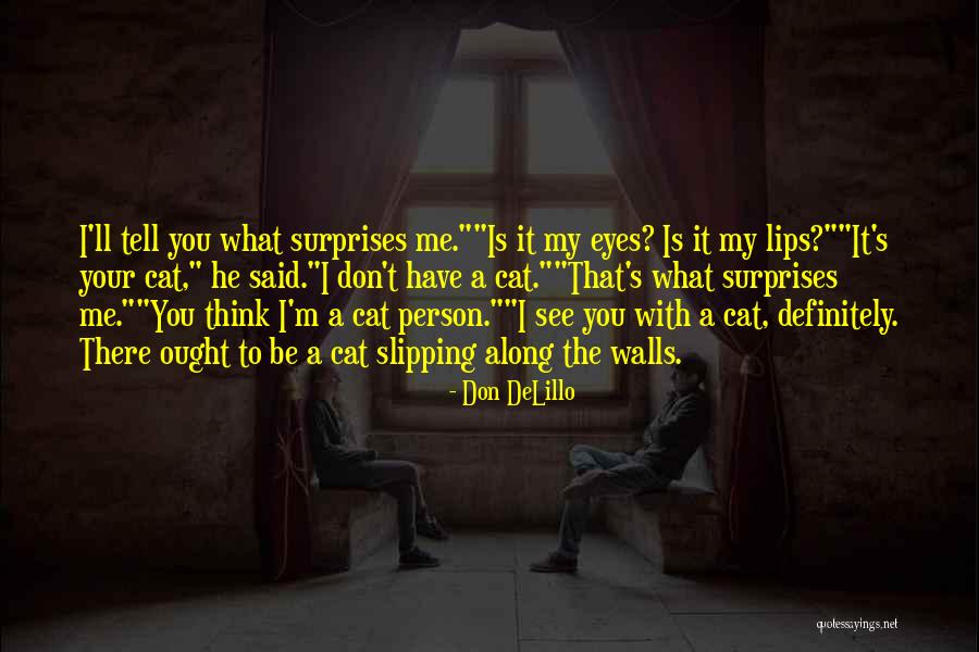 Parvosuin Quotes By Don DeLillo Parvosuin Quotes By Don DeLillo