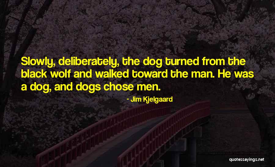 Pasamontes Manchego Quotes By Jim Kjelgaard Pasamontes Manchego Quotes By Jim Kjelgaard