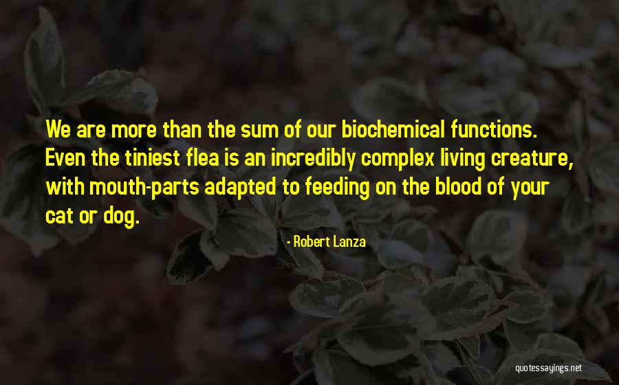 Pasarlo Pipa Quotes By Robert Lanza Pasarlo Pipa Quotes By Robert Lanza