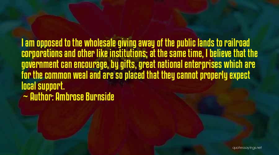 Pascal Acnh Quotes By Ambrose Burnside