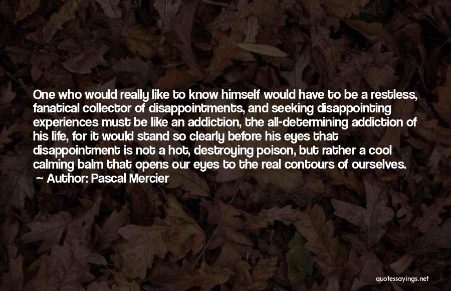 Pascal Mercier Quotes 1179221