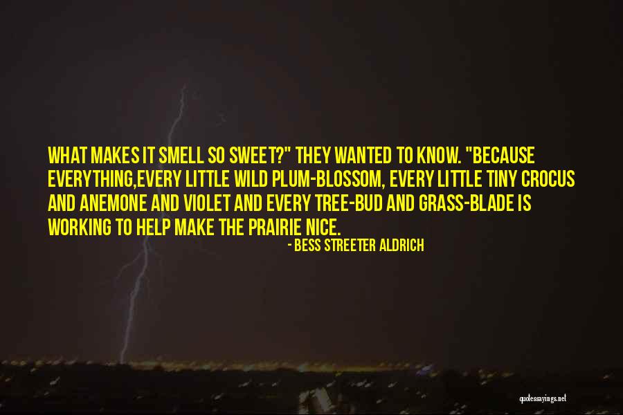 Pascallis Quotes By Bess Streeter Aldrich Pascallis Quotes By Bess Streeter Aldrich