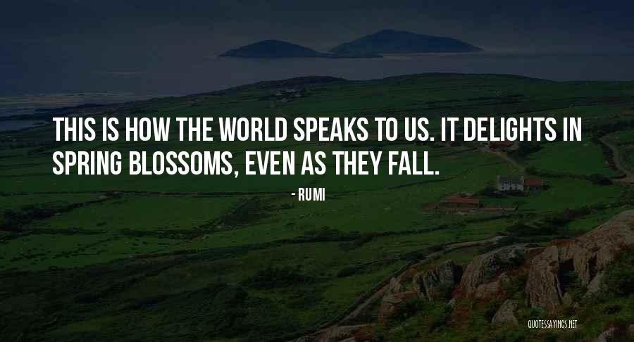 Pascallis Quotes By Rumi Pascallis Quotes By Rumi