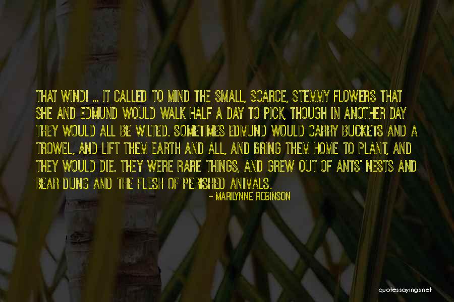 Pascotto Wine Quotes By Marilynne Robinson Pascotto Wine Quotes By Marilynne Robinson
