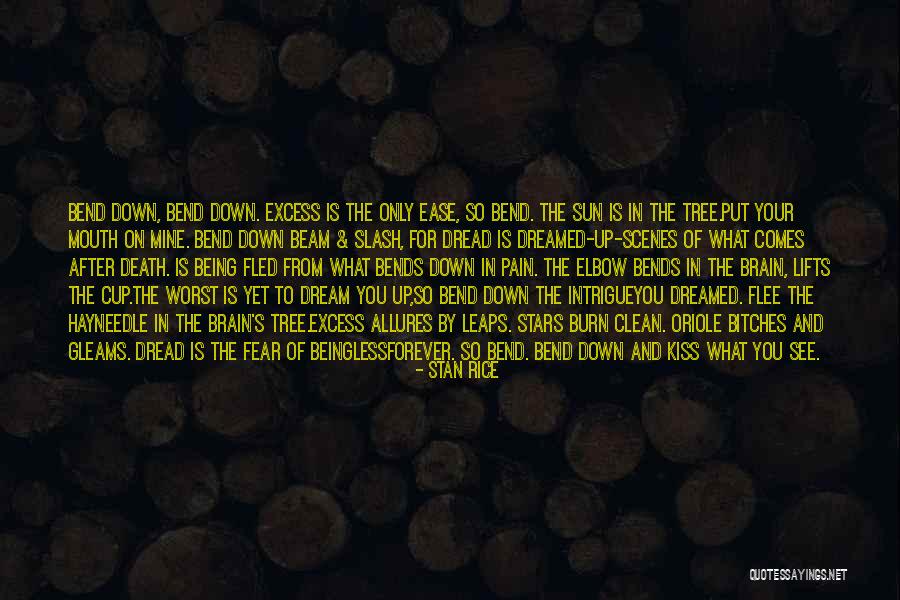 Pascual Duarte Quotes By Stan Rice Pascual Duarte Quotes By Stan Rice