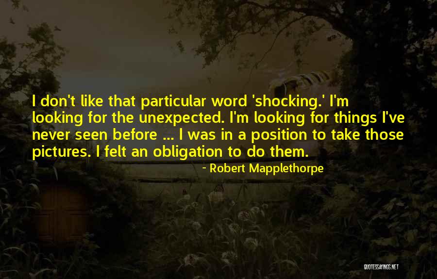 Pascual Laboratories Quotes By Robert Mapplethorpe Pascual Laboratories Quotes By Robert Mapplethorpe