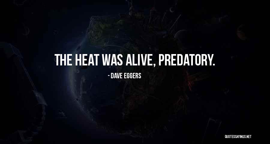 Pasha Global Quotes By Dave Eggers Pasha Global Quotes By Dave Eggers