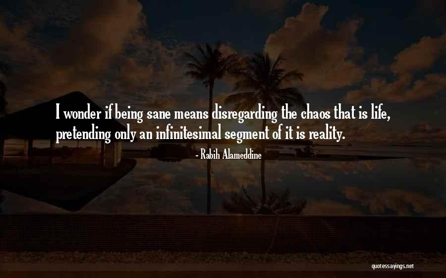 Pasha Mediterranean Quotes By Rabih Alameddine Pasha Mediterranean Quotes By Rabih Alameddine