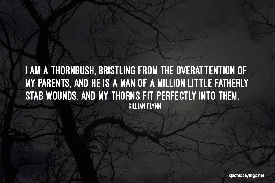 Pashkovo Quotes By Gillian Flynn Pashkovo Quotes By Gillian Flynn